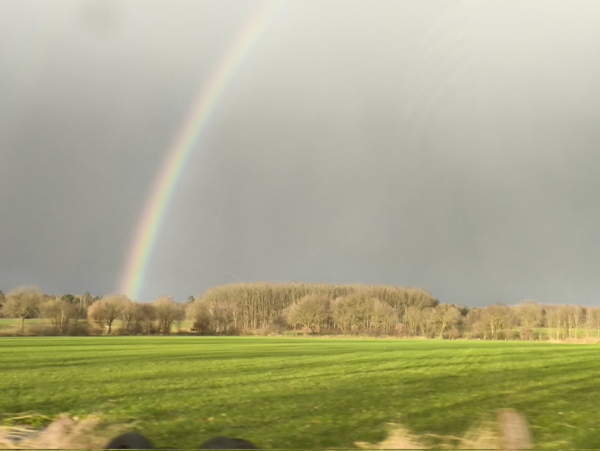 Einhornseekuh (@hoernchensrache) on Twitter photo 