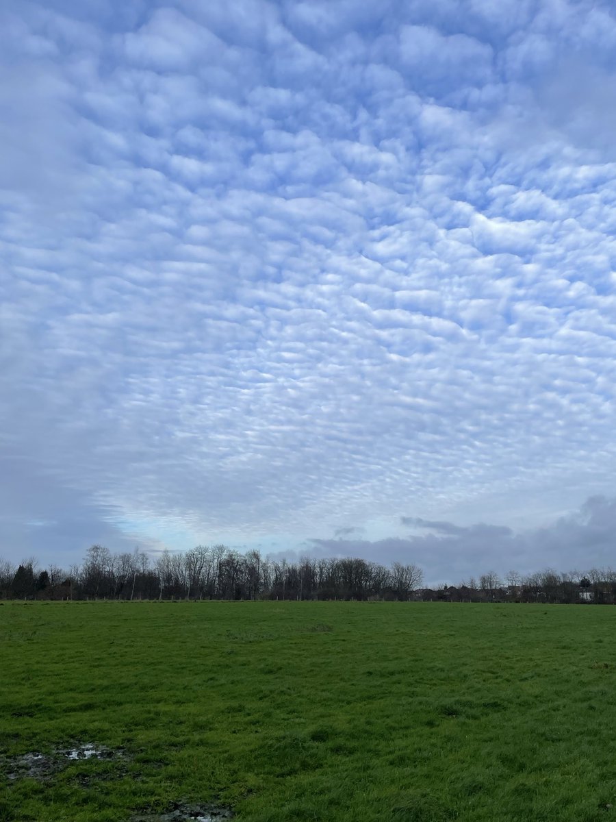 Stregalina's tweet photo. #vrtweer Heverlee, 15u13 https://t.co/3tw69OAXm4