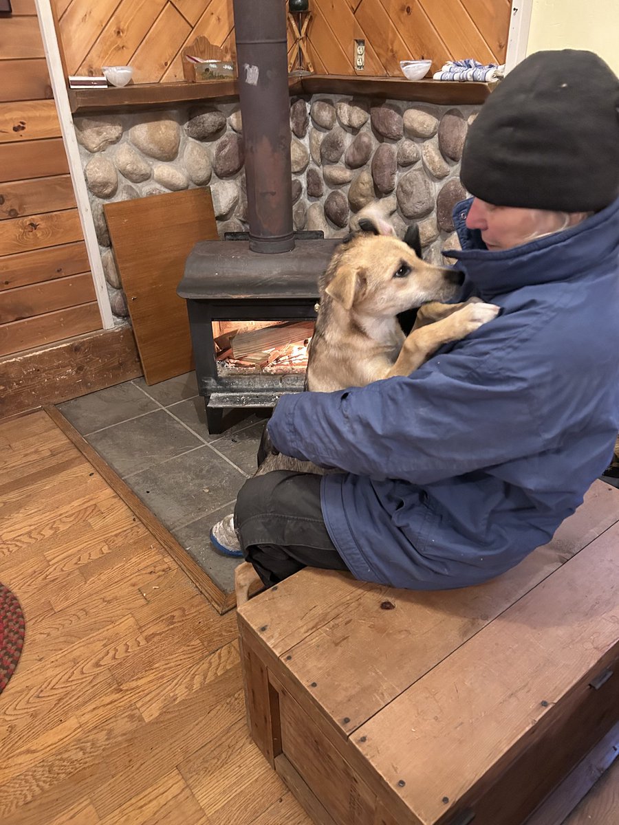 If anyone is interested we are over on Bluesky, we will likely check back in here occasionally for shaved poodle fans