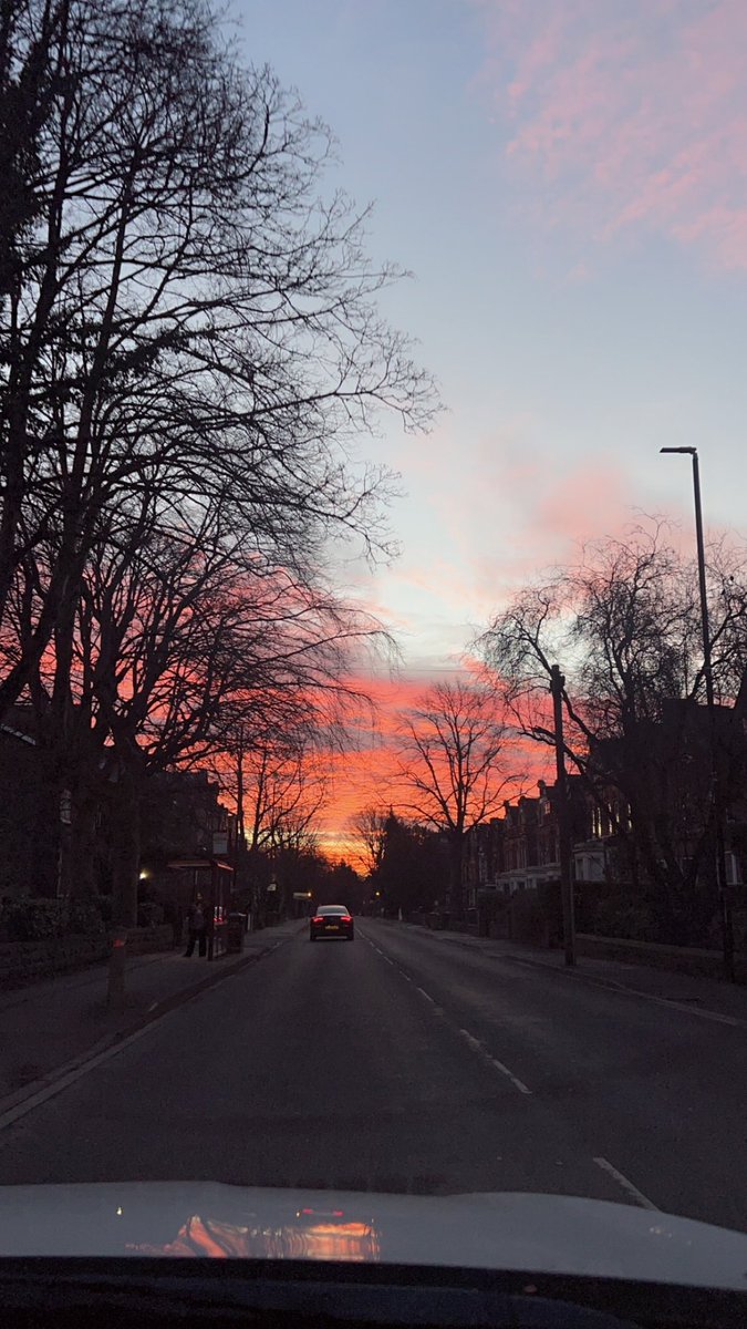 ClareMatic's tweet image. The shepherds are warning us !! 
#redsky