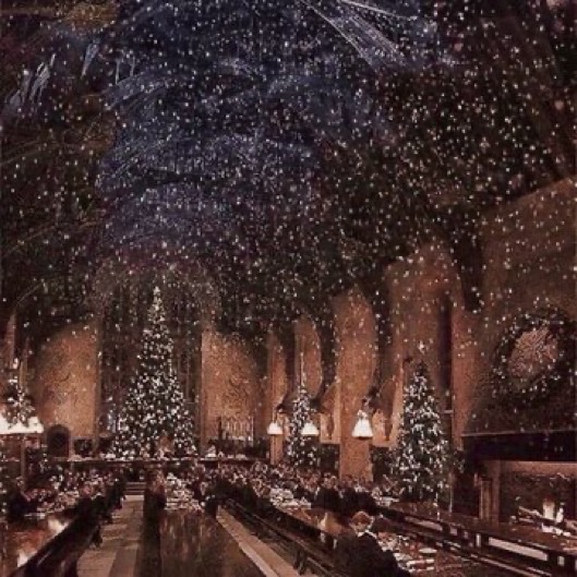 TheDailyHPotter's tweet photo. Another Harry Potter Christmas in the bag 🎄 https://t.co/XHz8AUuS9H