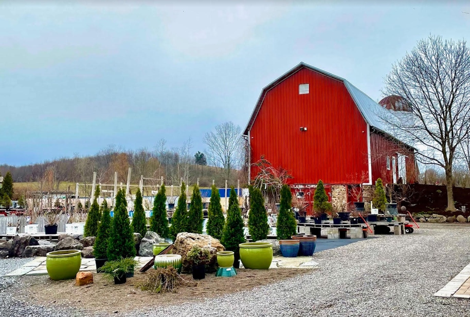 BroccoloLadyB tweet media