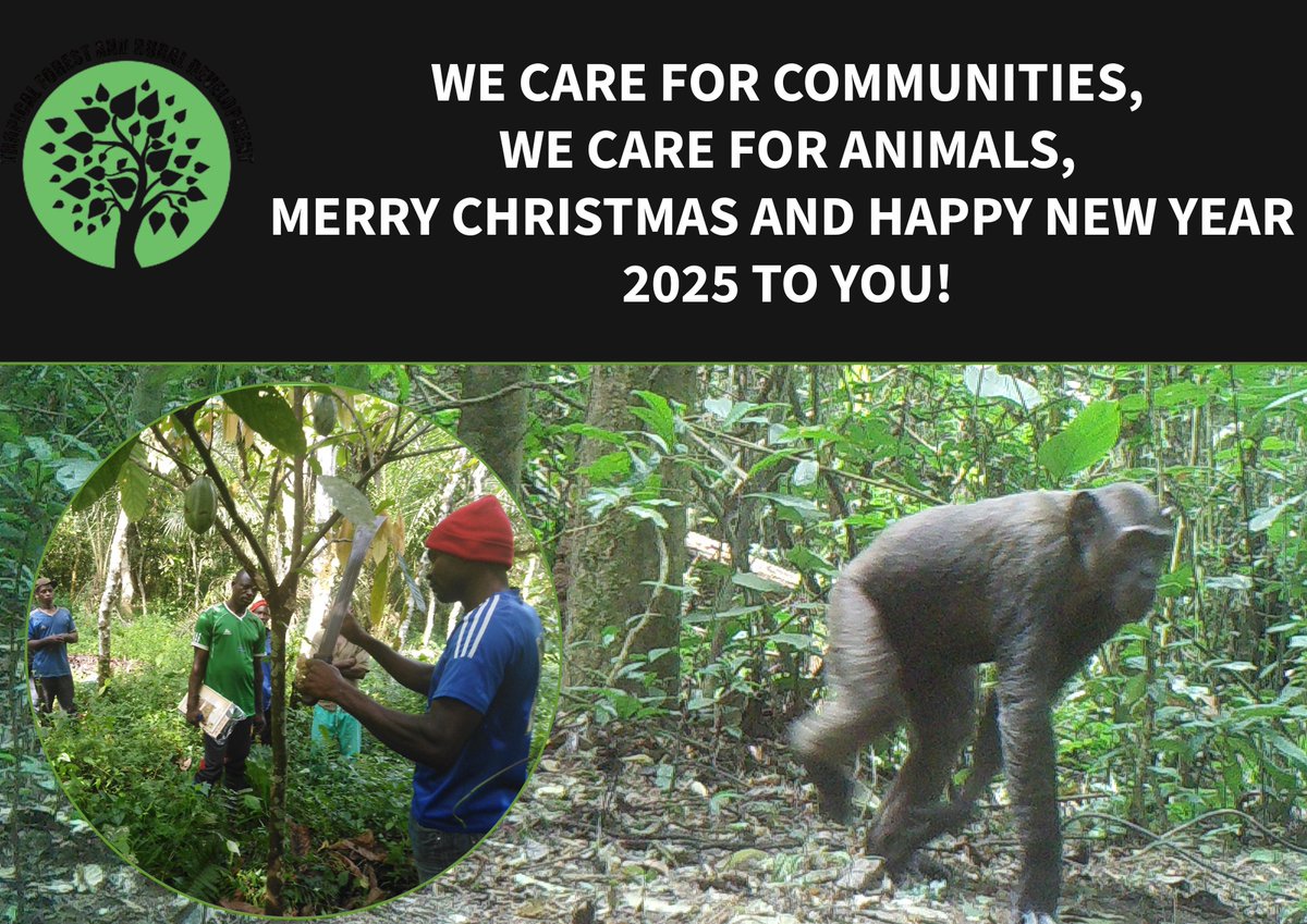 Manfred Aime Epanda tweet media