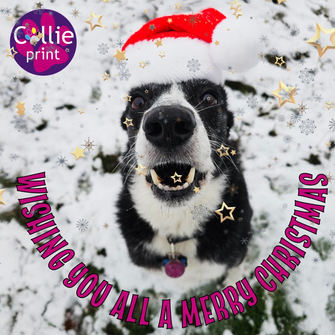 ColliePrint's tweet photo. Wishing Family, Friends and Customers and Happy Christmas and a Healthy New Year.
mailto:Sian@collieprint.co.uk
#MerryChristmas #HappyNewYear #ColliePrint 
#printanddesign https://t.co/3FxUFyFQkl