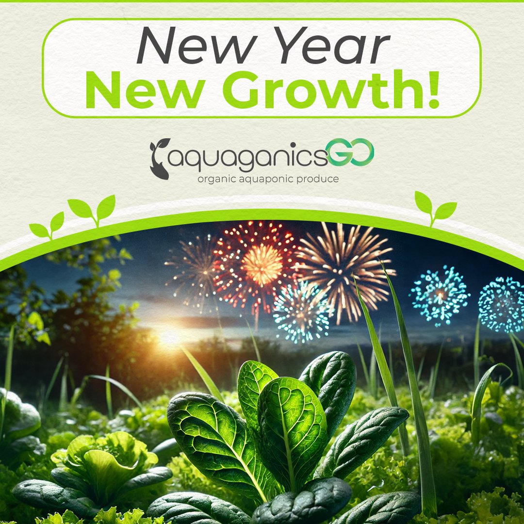 AquaganicsGo's tweet photo. This year, why not make a resolution that benefits both you and the planet? 💚

Let’s make 2025 the year of growth – for you, your family, and the planet. Start small, start local, and start fresh. 🌿

#NewYearsResolution #SustainableLiving #AquaganicsGo #FreshStart #LocallyGrown https://t.co/nbDiHE4EPZ