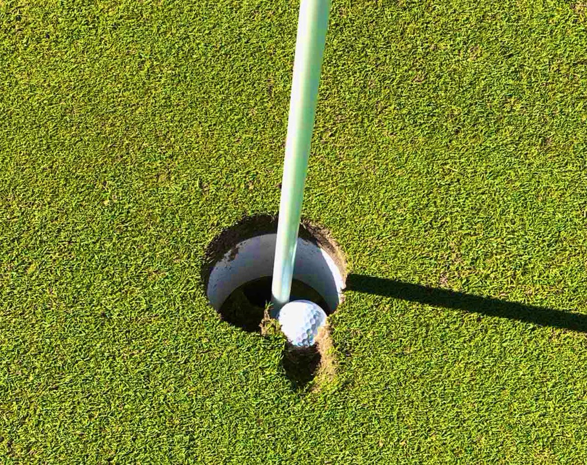 Rick Golfs tweet media