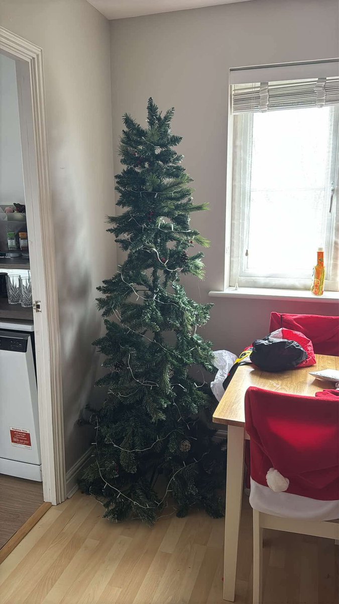 ginaffe's tweet photo. a new christmas tree 2 days before christmas?? essential after 3 years of my cats destroying my old one lol https://t.co/XOTwo8RqFo