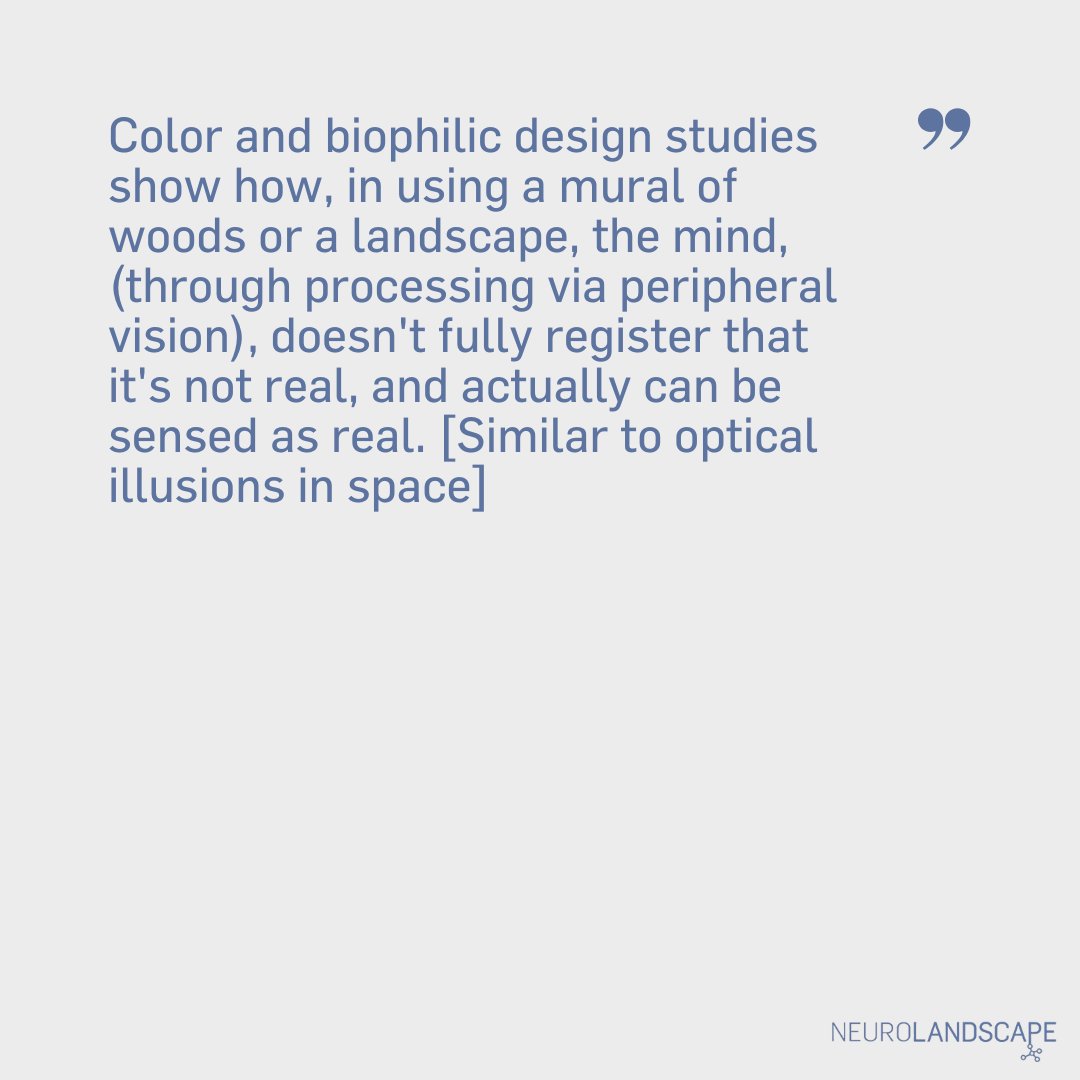 NeuroLandscape tweet media