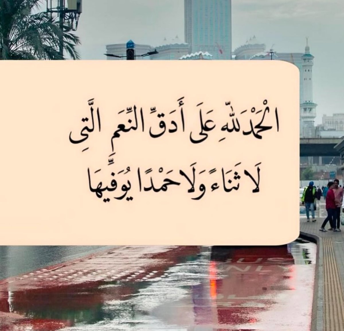 absd697's tweet image. 