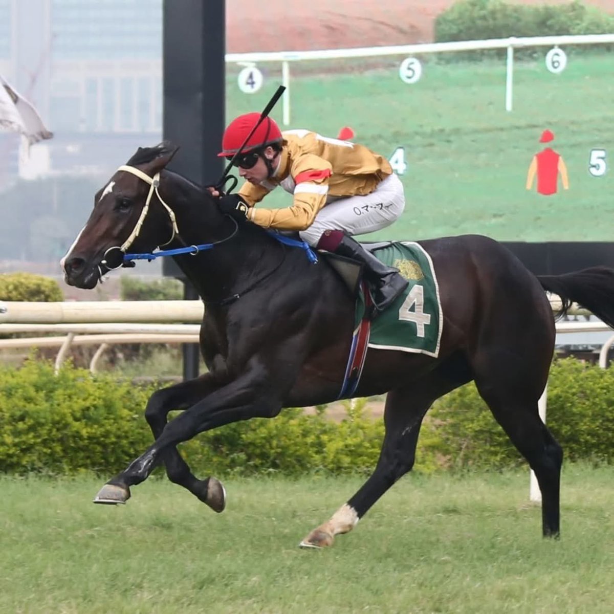 Vikram Bachhawat tweet media