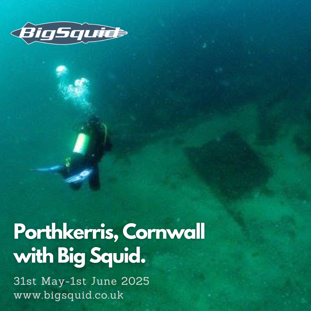 Join Big Squid on our dive trip to Porthkerris , Cornwall on the 31st May 2025