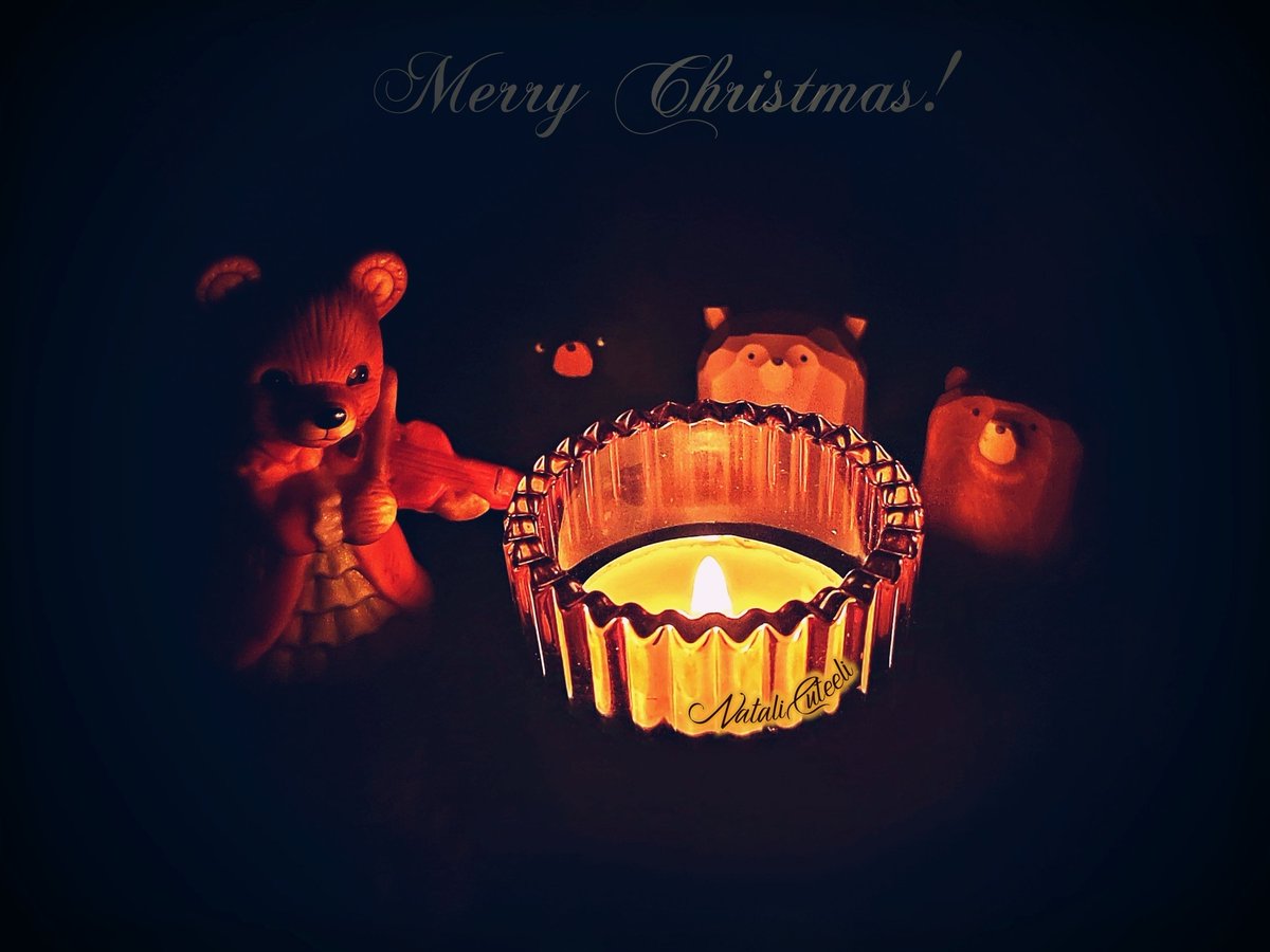 NataliCuteeli's tweet photo. In the run-up to Christmas... 🥰
May the evening be pleasant for everyone!
🎶✨🐻✨🐻✨🕯✨🐻✨🐻✨🎶
#cuteeli #art #nature #NatureBeauty #cute #evening #Christmas #positive #bears #coziness #beautiful #candle #beautiful #melody #night #fairy_tale https://t.co/Wngl8Qa1P9