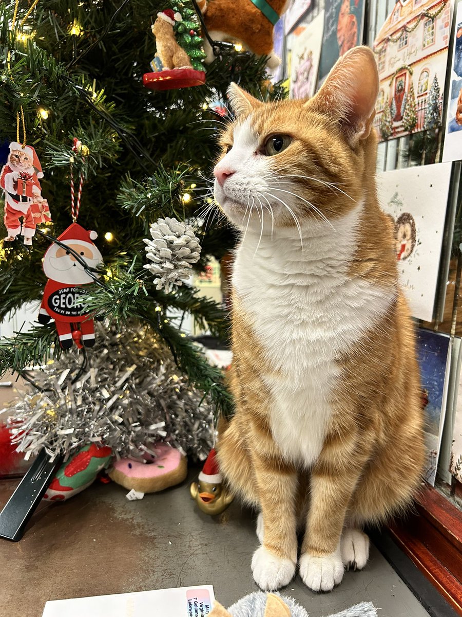 OOO on
That’s me done…..

Even Ian who is Dad Ian has his Christmas Jumper on