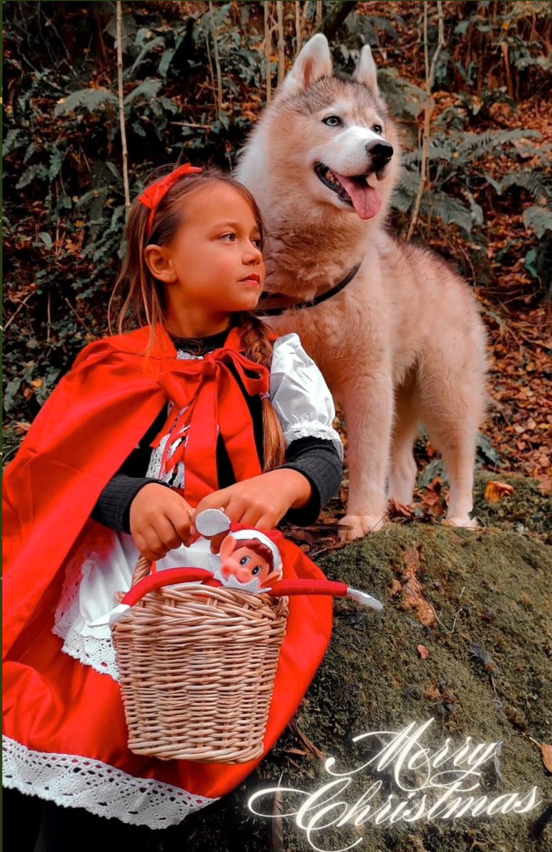 BONES FESTES de part de Lladruc!
Gràcies a la família de la Kaira per enviar-nos la millor versió de la caputxeta vermella i la Husky!
😍
¡Lladruc os desea unas FELICES FIESTAS!
Gracias a la familia de Kaira por mandarnos la mejor versión de la caperucita roja y... ¡la Husky!