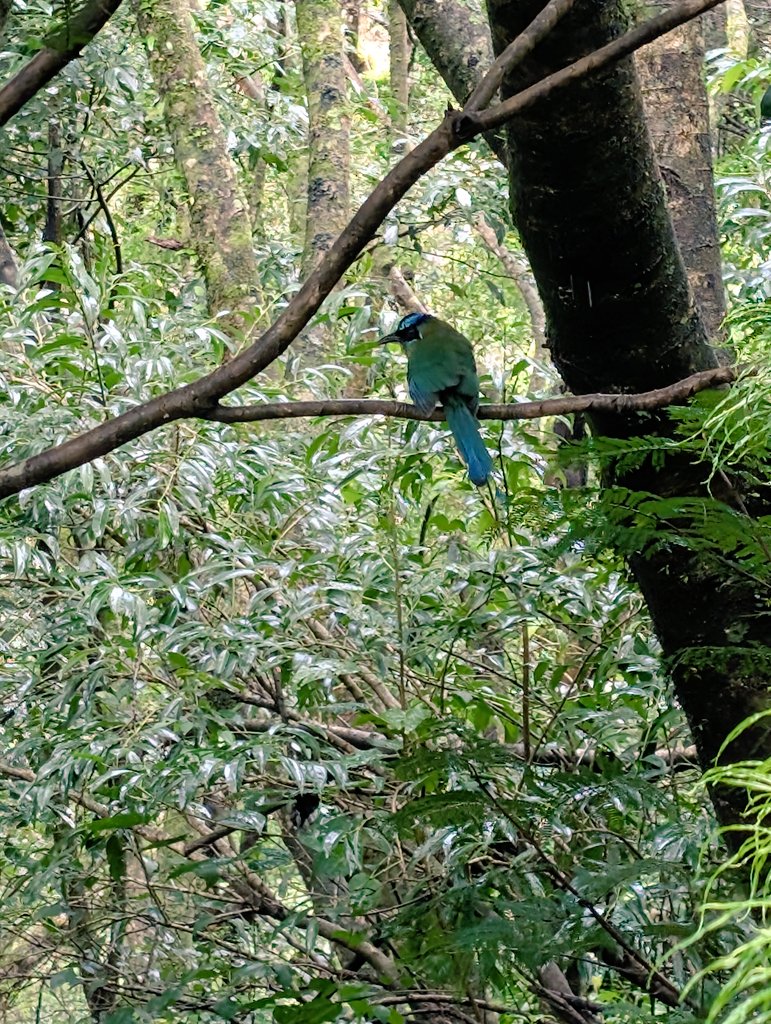 JadePrincess || She/Her/They 🇺🇸🇰🇷🇯🇵 tweet media