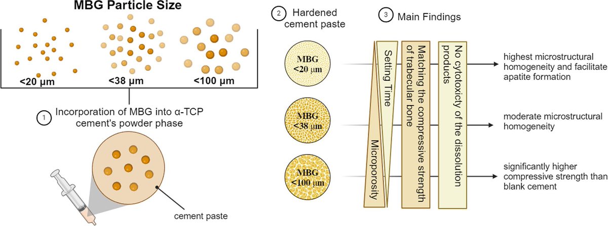 Boccaccini_Lab's tweet photo. Sharing this interesting #OpenAccess article led by @bbcentre_eu🇱🇻colleagues @oznooorr &amp; @DagnijaLoca with @Boccaccini_Lab @UniFAU contribution, in Mater. &amp; Design. It reports the optimization of α-TCP bone cement composites incoporating bioactive glass➡️ https://t.co/1ALVl1QCaq https://t.co/n32OYys54z
