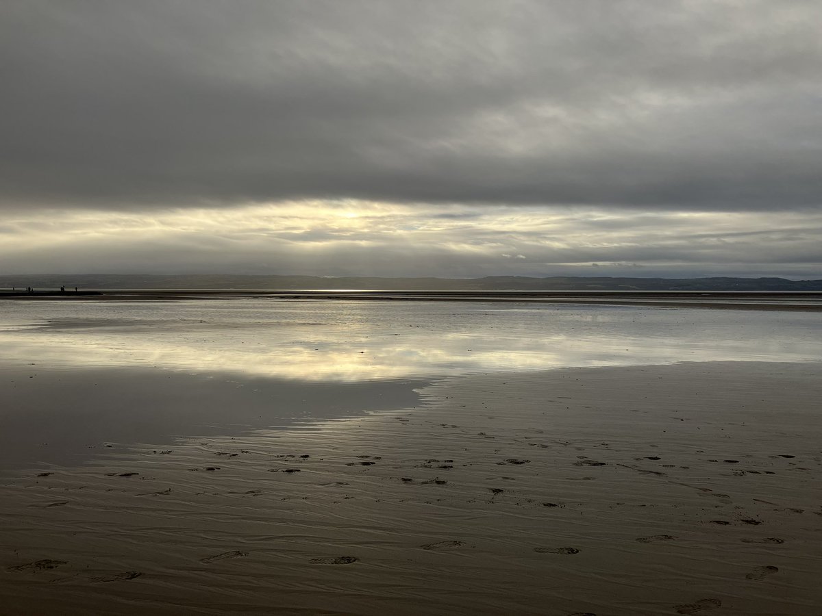 Andrea 🌻 tweet media