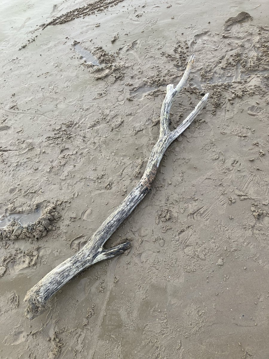 Andrea 🌻 tweet media