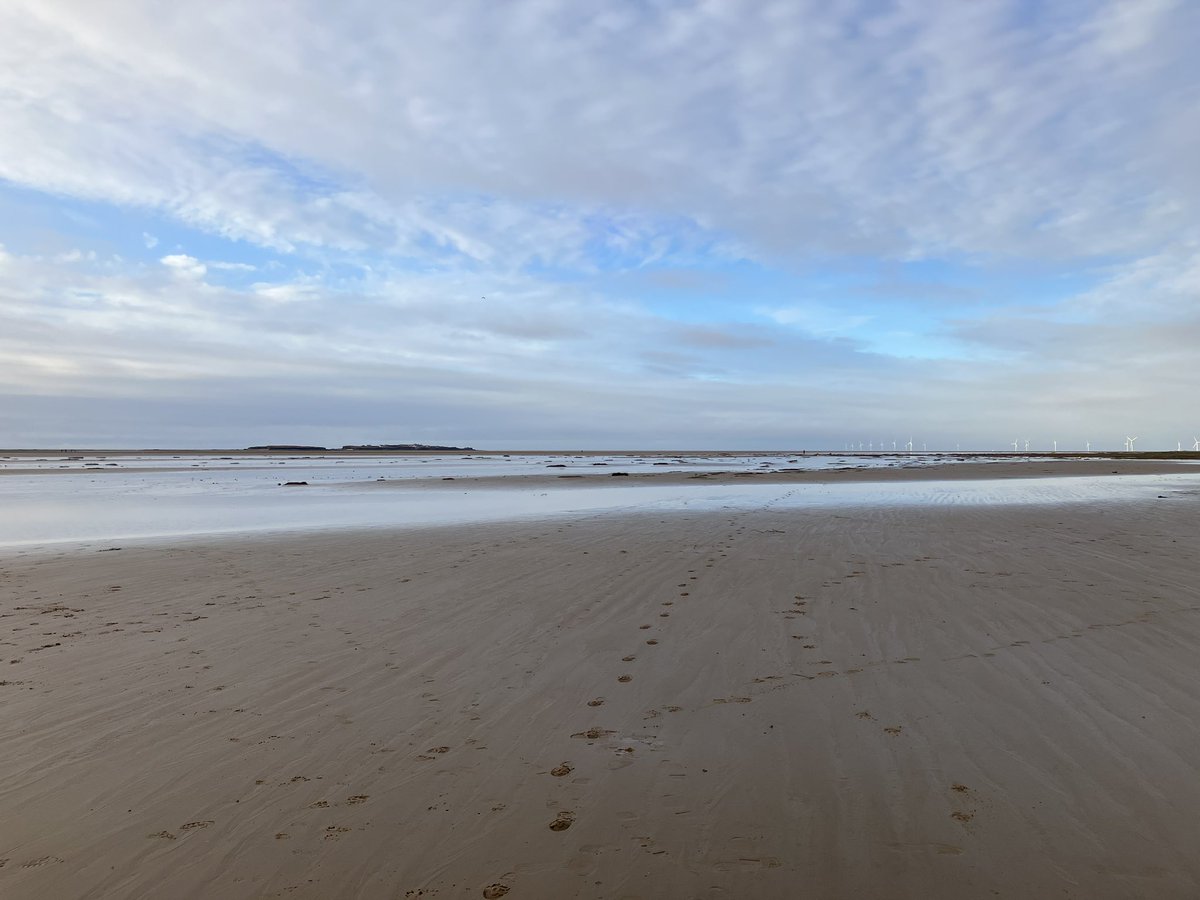 Andrea 🌻 tweet media