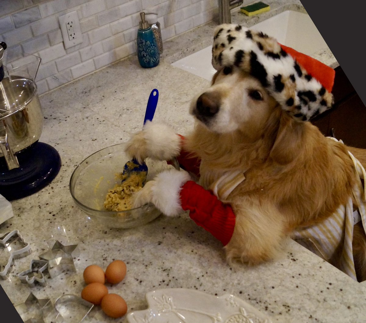 I’ve been toiling away making some cooks for Santie Paws, I almost fell asleep mixing! 

Hopefully I get some $bailey for being such a good girl. It’s quite the stocking stuffer, I must say.  Do your friends and family a favor and gift them adorableness this Christmas!