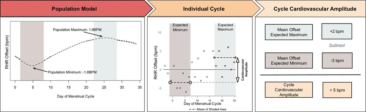 Out today! Researchers <a href="/WHOOP/">WHOOP</a> used data from wearable technology to track heart rate changes throughout the menstrual cycle. They found that heart rate varies predictably during the cycle and that these variations are less pronounced in older participants and those using birth