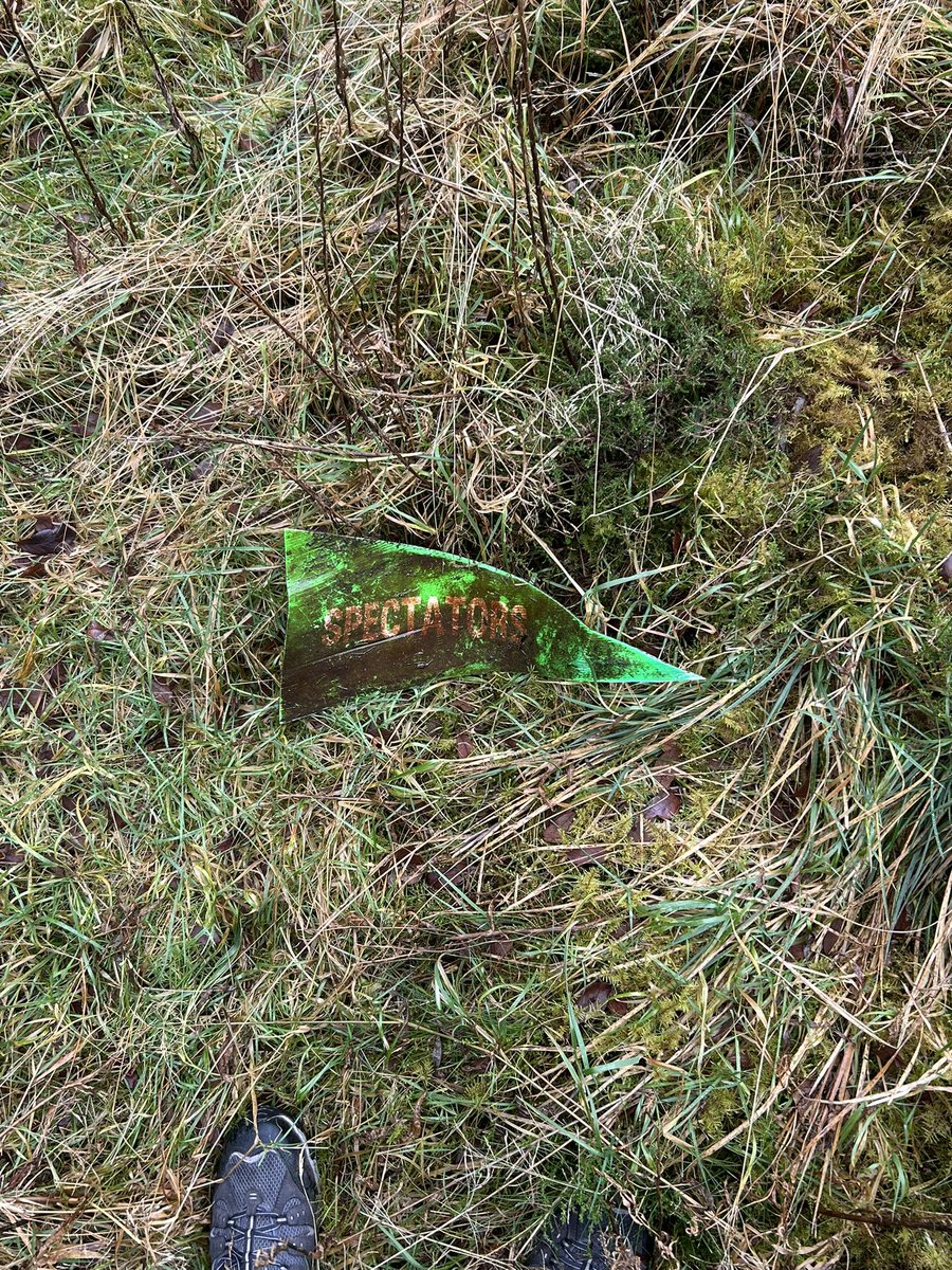 Deep in resolven forest, a mark of what we used to have in these forests 🥲

#wrc #wales #rallygb <a href="/PowerslideMedia/">Powerslide</a>