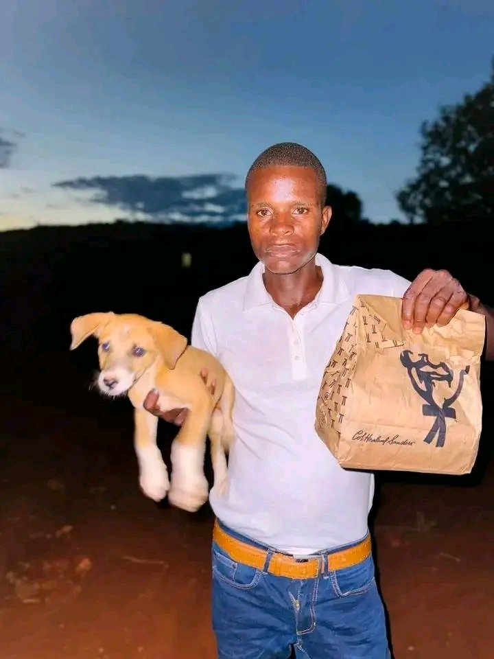 reallurh's tweet image. - I never want wanted to be someone&apos;s dog so bad, I also deserve soft life 😂🥱😭
.
.
.

ActionSA Diddy Ziyanda Africa Sancho Sizwe Ziyanda Zuma Bavuma Morgan Rogers Zirkzee #Capitec #Uyajola99 Makhadzi Al Ahly Afrikaans Christmas Bela Hammanskraal Moshe Zulu Markram Elon Musk…