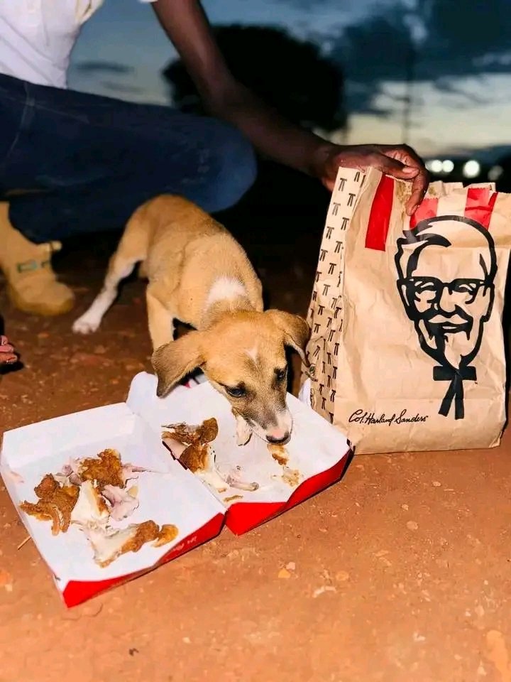 reallurh's tweet image. - I never want wanted to be someone&apos;s dog so bad, I also deserve soft life 😂🥱😭
.
.
.

ActionSA Diddy Ziyanda Africa Sancho Sizwe Ziyanda Zuma Bavuma Morgan Rogers Zirkzee #Capitec #Uyajola99 Makhadzi Al Ahly Afrikaans Christmas Bela Hammanskraal Moshe Zulu Markram Elon Musk…