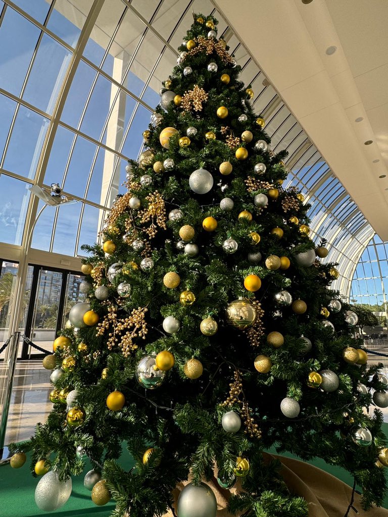 Nieves Pascual tweet media