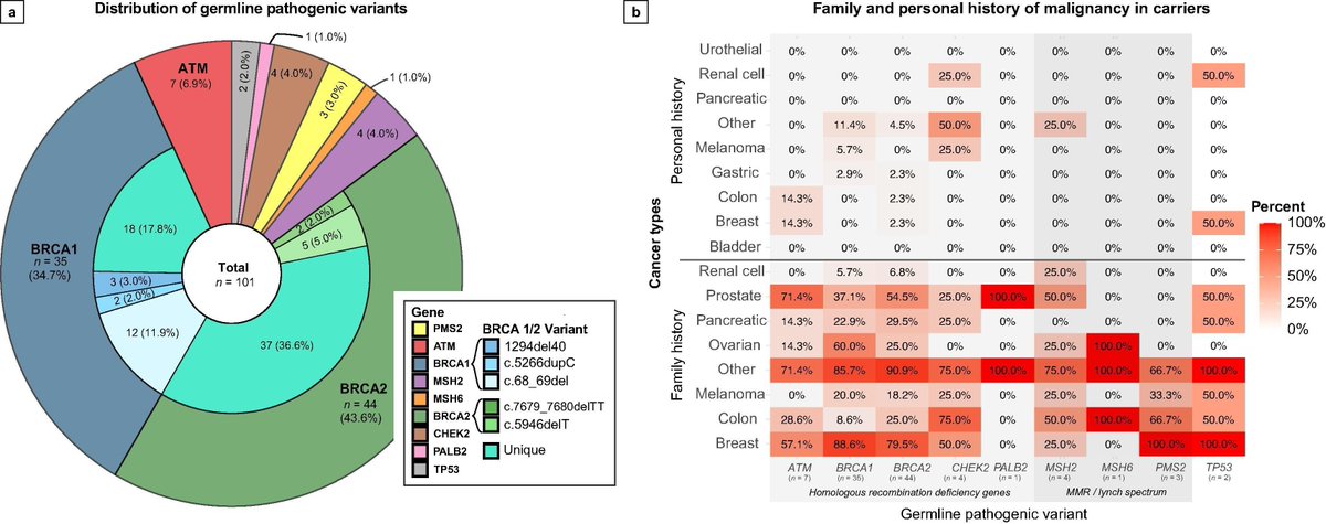 European Urology Oncology (@eururoloncol) on Twitter photo Magnetic Resonance Imaging–based Prostate Cancer Screening in Carriers of Pathogenic Germline Mutations: Interim Results from the Initial Screening Round of the Prostate Cancer Genetic Risk Evaluation and Screening Study by <a href="/aethridgeamini/">Andrew Amini</a>
buff.ly/3OPzh8j
#UroSoMe Magnetic Resonance Imaging–based Prostate Cancer Screening in Carriers of Pathogenic Germline Mutations: Interim Results from the Initial Screening Round of the Prostate Cancer Genetic Risk Evaluation and Screening Study by <a href="/aethridgeamini/">Andrew Amini</a>
buff.ly/3OPzh8j
#UroSoMe