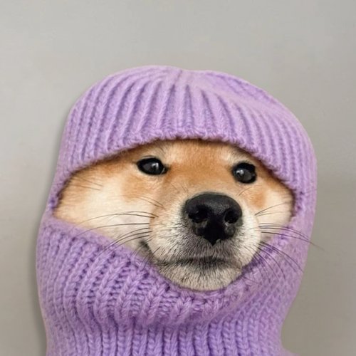 $lou but better  $XOU

Ape in 
pump.fun/coin/CVV4kzUjZ…