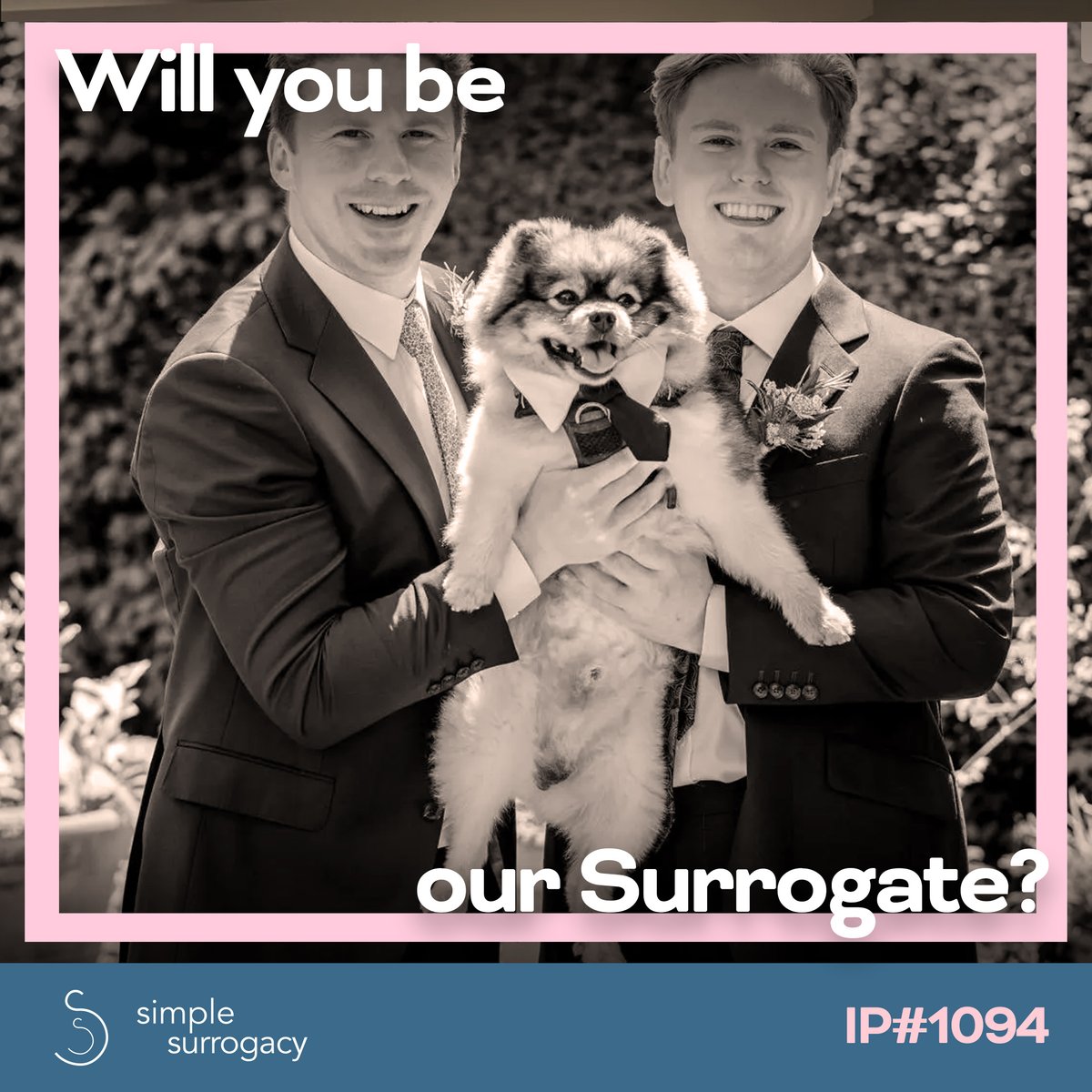 SimpleSurrogacy tweet picture