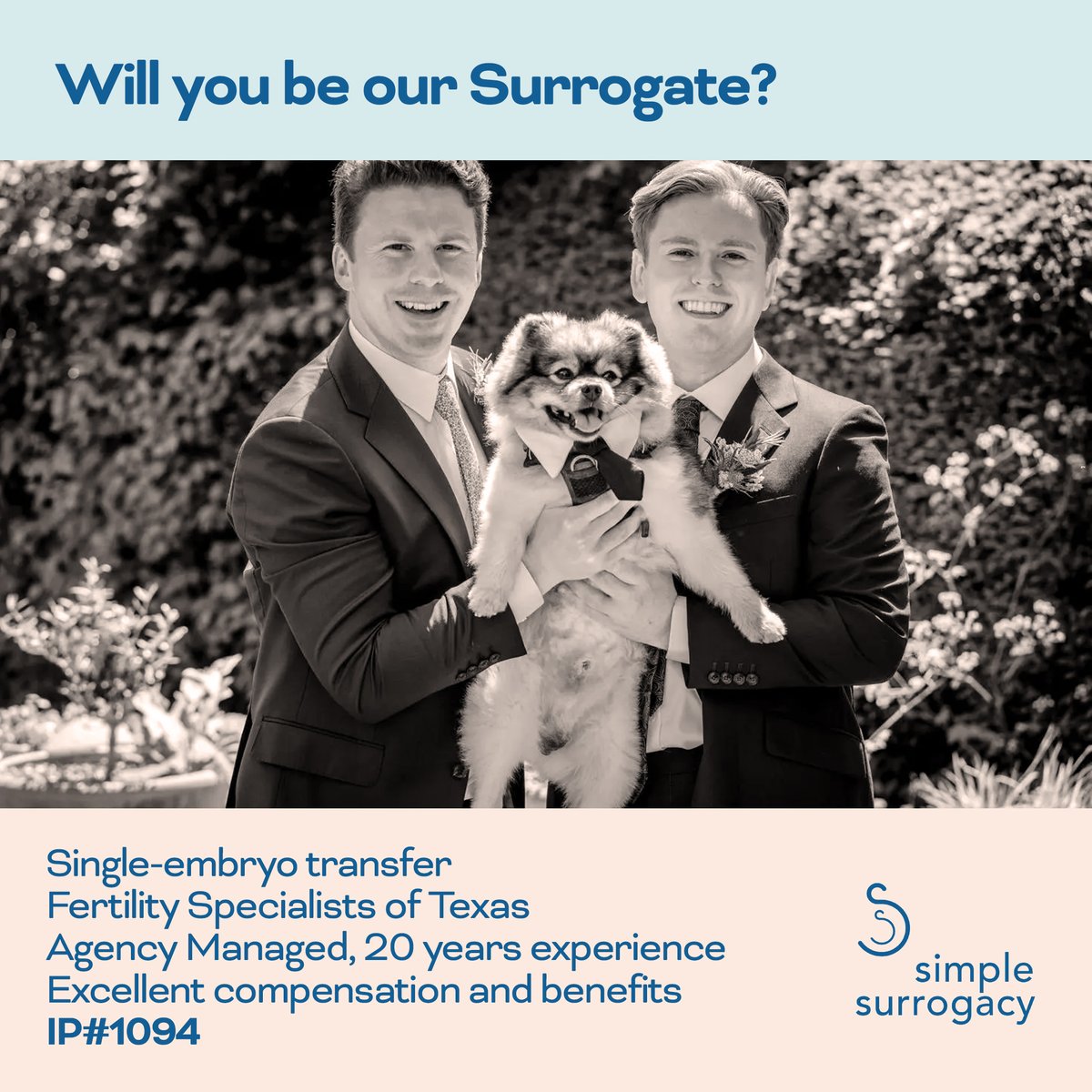 SimpleSurrogacy tweet picture
