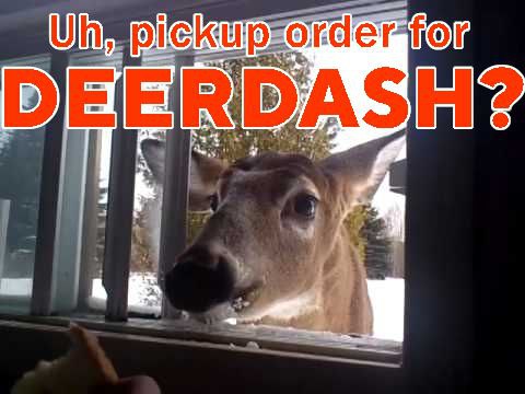deershouldnt's tweet photo. https://t.co/zSLEqg24vd