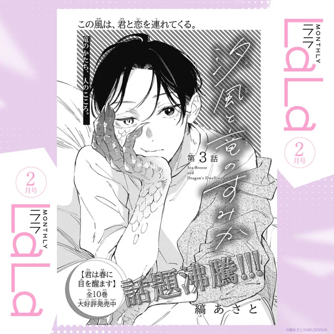 🫧本日発売!LaLa2月号🫧

話題沸騰!!!
「#汐風と竜のすみか」by #縞あさと

友達作りに失敗(?)した瑞花は
神社で竜人の少年・櫂理に絡まれる。
天辰と何か関係があるようだが…?

HC「君は春に目を醒ます」全10巻 大好評発売中! 
