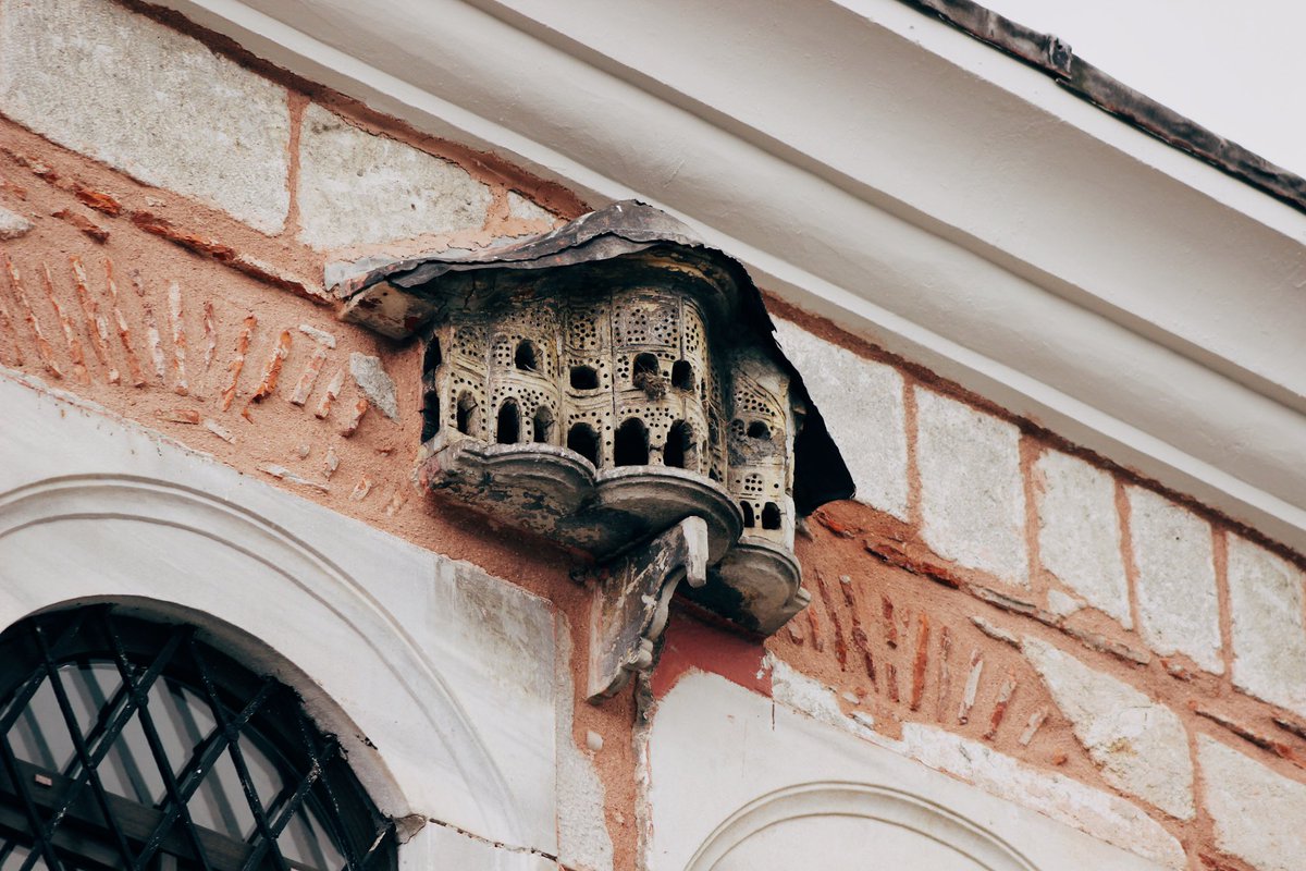 Şah Sultan Sıbyan Mektebi ve pencerelerin üzerindeki pek zariz kuş sarayı. 

1800, Eyüp.