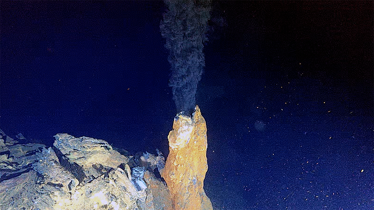 Woods Hole Oceanographic Institution (WHOI) (@whoi) on Twitter photo A new #WHOI-led study shows that #hydrothermalvent systems in the #Arctic are more chemically diverse than previously thought!  This new info will aid the search for life on other #oceanworlds.
π²Read more from the <a href="/theAGU/">AGU (American Geophysical Union)</a>βs Eos: go.whoi.edu/eos-vents A new #WHOI-led study shows that #hydrothermalvent systems in the #Arctic are more chemically diverse than previously thought!  This new info will aid the search for life on other #oceanworlds.
π²Read more from the <a href="/theAGU/">AGU (American Geophysical Union)</a>βs Eos: go.whoi.edu/eos-vents