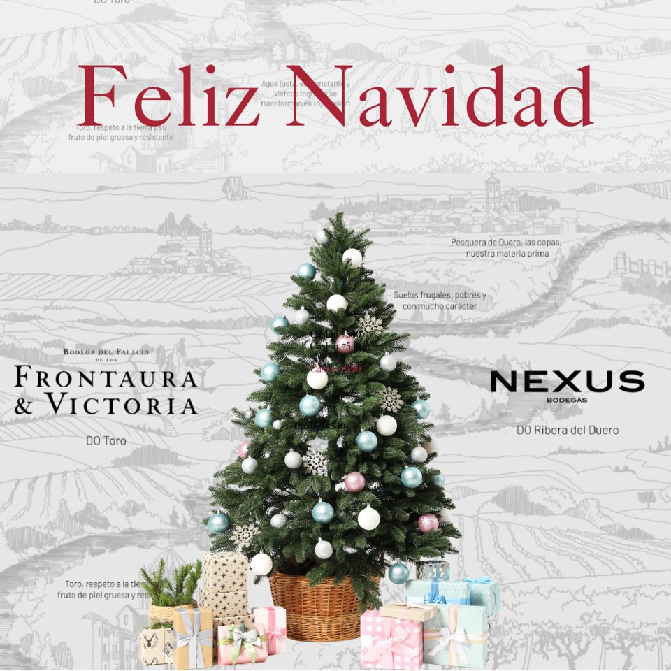 Nexus & Frontaura tweet media
