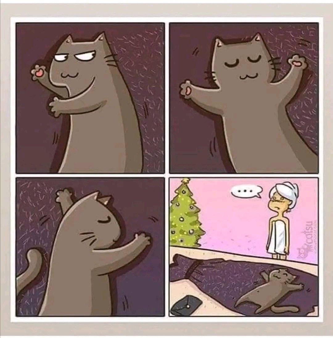 tiofelino2's tweet photo. Marca gatuna 🐱🐾 https://t.co/1A9spGx7TT