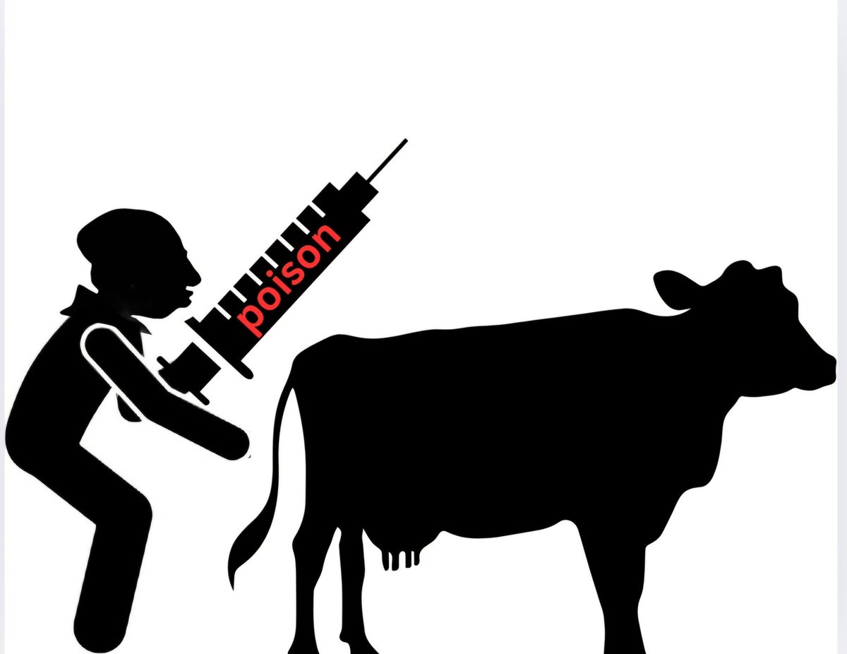 <a href="/JaokooMoses/">Royal Ambassador</a> 💯💯