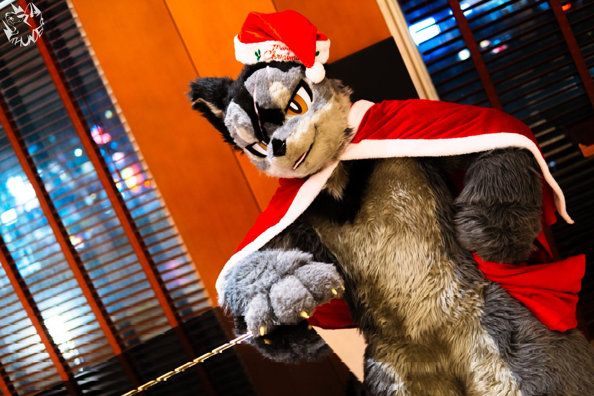 OokamiAku's tweet photo. #FurtoMonday 
今年のクリスマス、何のプレゼントがほしい🎁？
ピアノはどう？

クリスマスはあと……2日

📸： @wolf26989 https://t.co/FV43CdWvE9