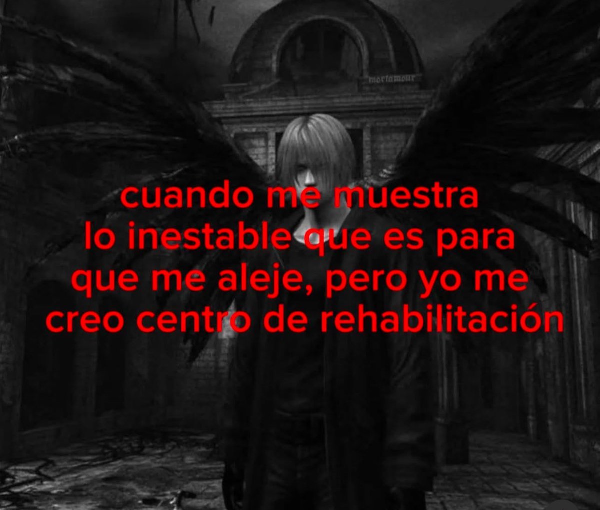 conoloracigarro's tweet image. 