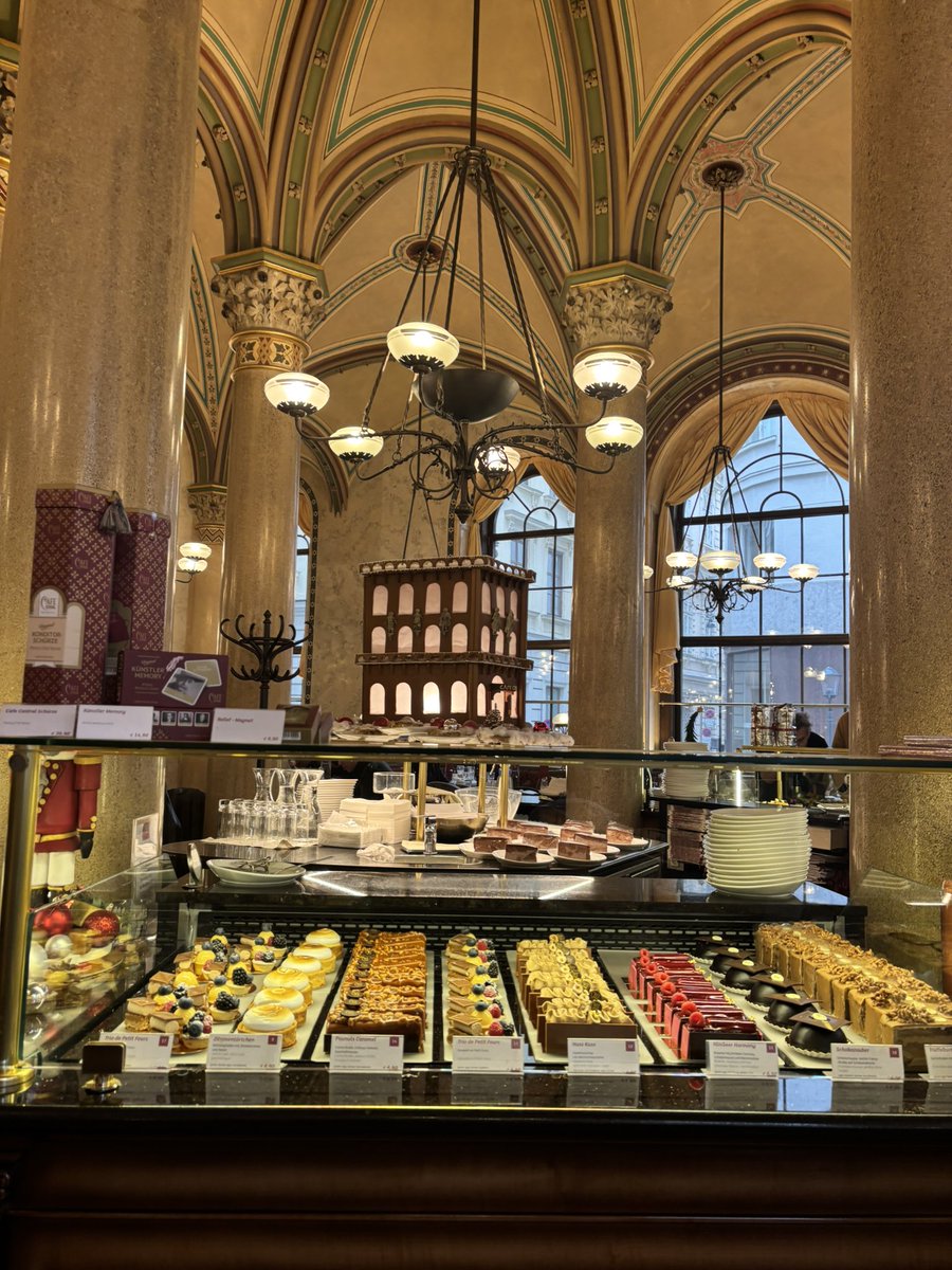 Culture , Cake  and Christmas- Vienna you were perfect 🎄