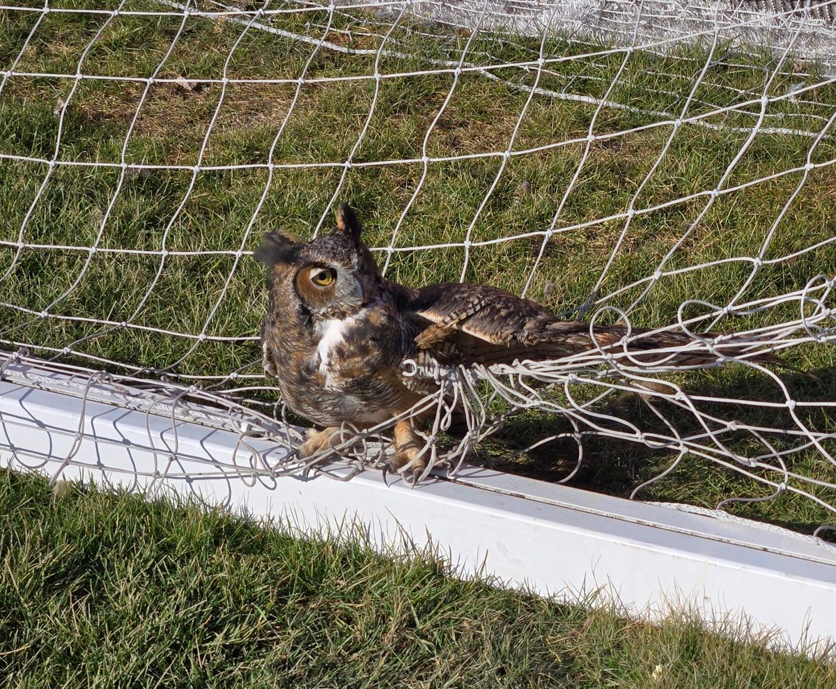 Munster Police Department tweet media