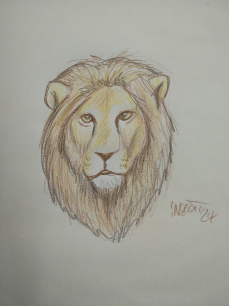 Insect_77's tweet image. 