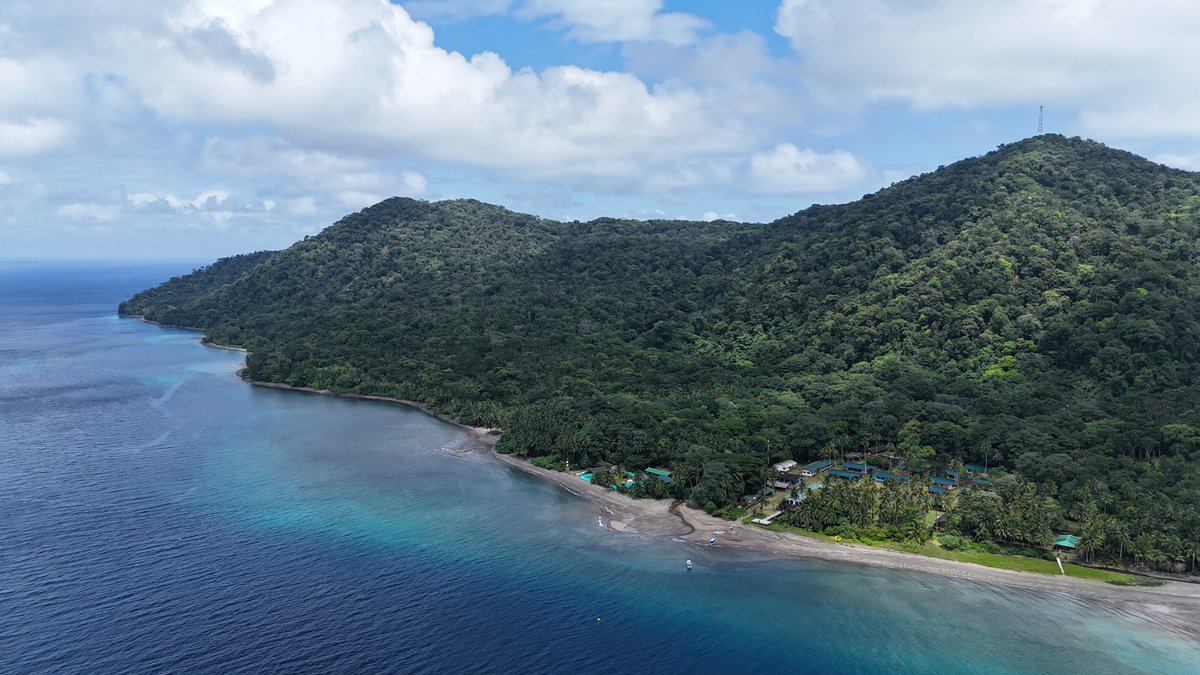 En estas vacaciones #QueTuRegaloSea descubrir la magia del Pacífico  colombiano 🌊🌴 ¡Conecta con la naturaleza en Nuquí y Bahía Solano!  Relájate en sus playas y explora el Parque Nacional Natural Utría. Vive