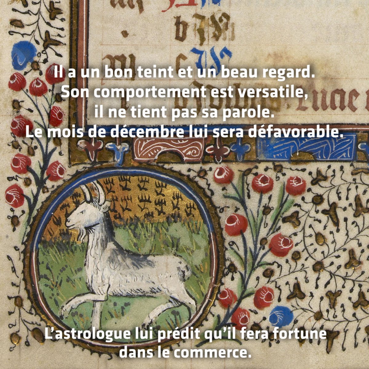C'est la saison des capricornes ! 🐐
♑ Découvrez les prédictions de notre astrologue pour les personnes nées entre le 22 décembre et le 20 janvier.