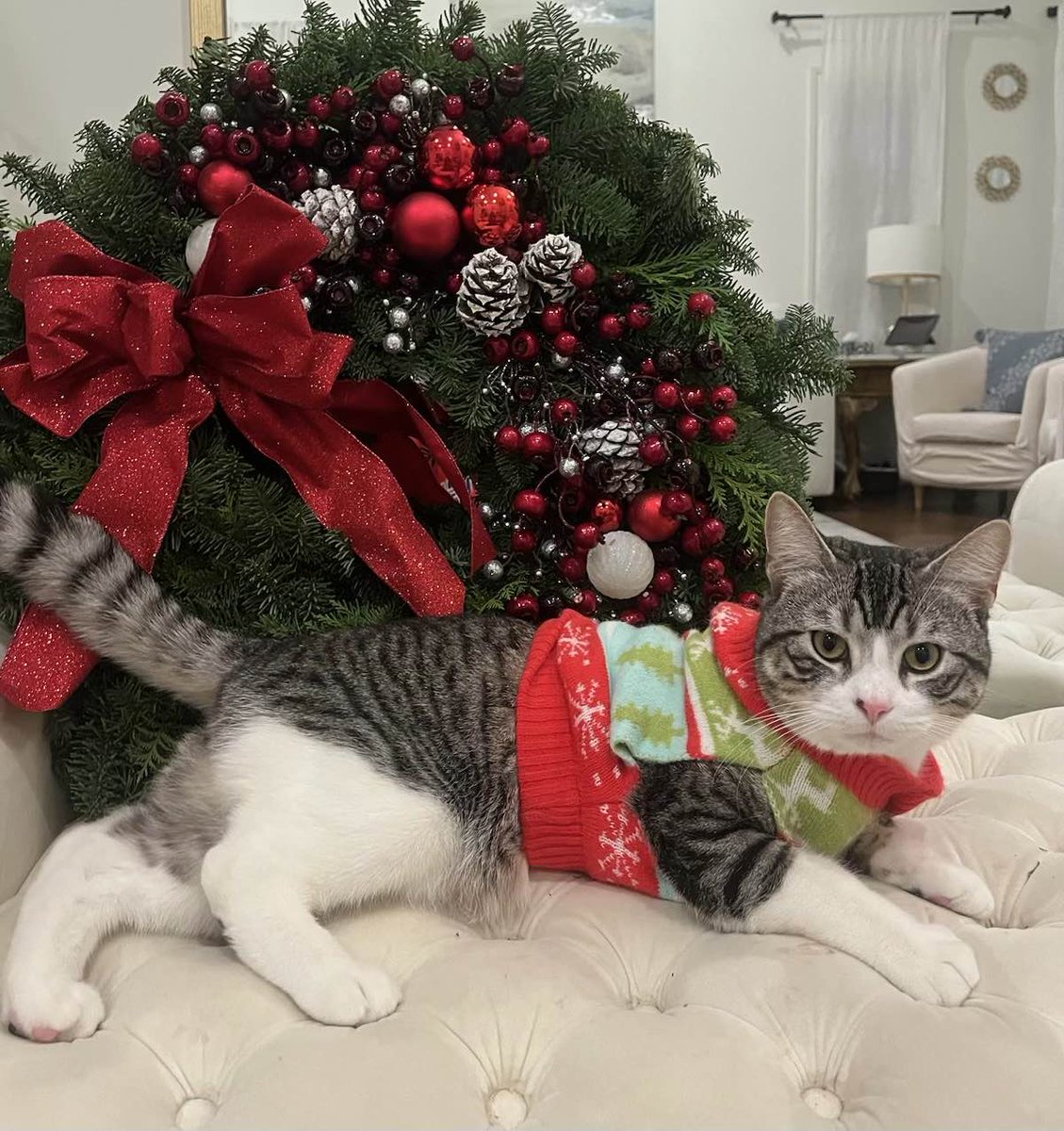 Patch My PC tweet media