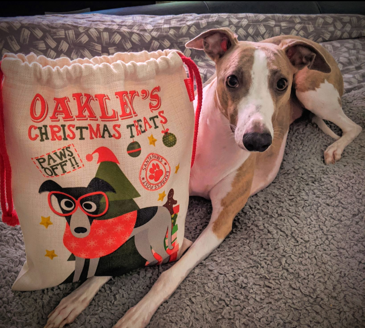 Patch My PC tweet media