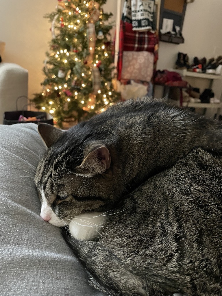 Patch My PC tweet media